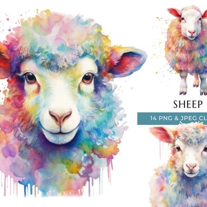 Watercolor Sheep Clipart: Colorful Farm Animal PNG & JPEG (Digital Download)