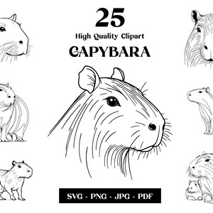 May include: A set of 25 high-quality clipart images of capybaras in various poses. The images are black and white line drawings and are perfect for use in digital projects or printed materials.