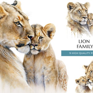 Mãe leão e filhote, linda leoa e bebê leão estampado, 9 PNGs de alta qualidade, decoração de berçário Safari, presente para mãe, conjunto de download digital instantâneo 2