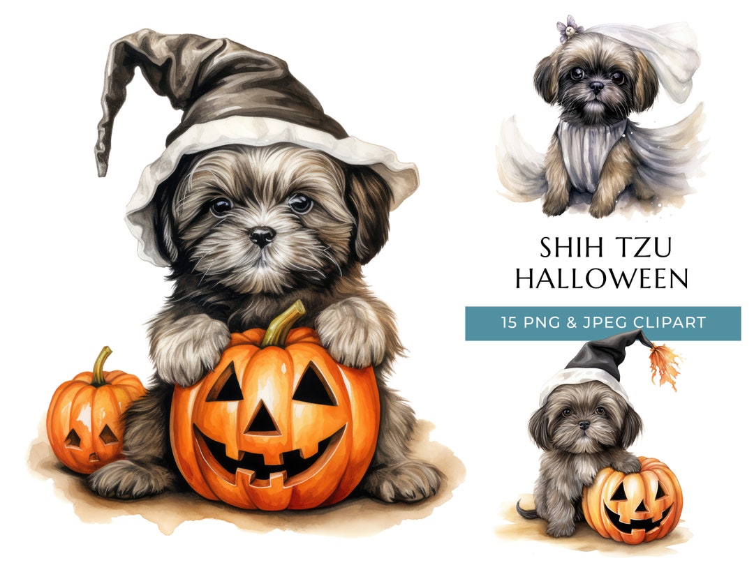 Shih Tzu Halloween Clipart – Cute Puppy, Trick or Treat (digital ...