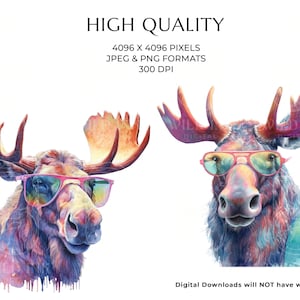 Watercolor Moose Clipart With Sunglasses, 12 High-quality PNG & JPEG