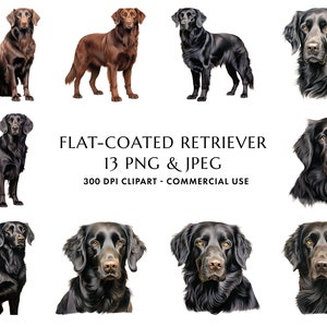 Aquarell Flat Coated Retriever Clipart Bundle 13 Hochwertige PNG & JPEG, Geschenk für Hundemama und Papa, digitales Basteln, digitaler Download