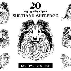 Ensemble de cliparts SVG et PNG de chien de berger des Shetland : dessin au trait numérique Sheltie, dessin de chien vectoriel minimaliste pour sublimation, téléchargement numérique