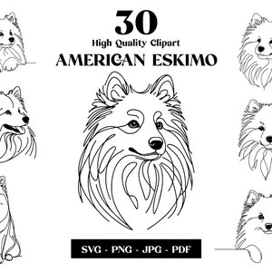 American Eskimo SVG & PNG Clipart Bundle: Digital Line Art, Disegno vettoriale minimalista per sublimazione, Amante dei cani, Download digitale del cucciolo