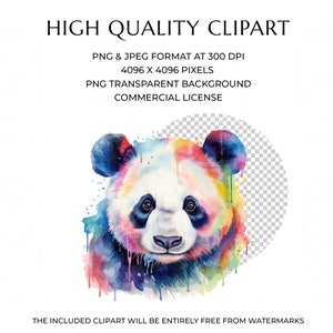May include: A colorful watercolor painting of a panda bear's face. The panda is painted in shades of blue, green, yellow, orange, and pink. The background is a transparent checkerboard pattern.