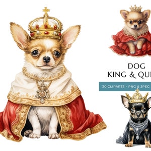 König & Königin Chihuahua niedliche Welpen Aquarell Clipart - 20 hochwertige PNG und JPEG, königliche Hunde, sofortiger digitaler Download