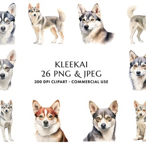 Aquarell Klee Kai Clipart Bundle 26 Hochwertige PNG & JPEG, Geschenk für Hund Mama und Papa, digitales Basteln, digitaler Download