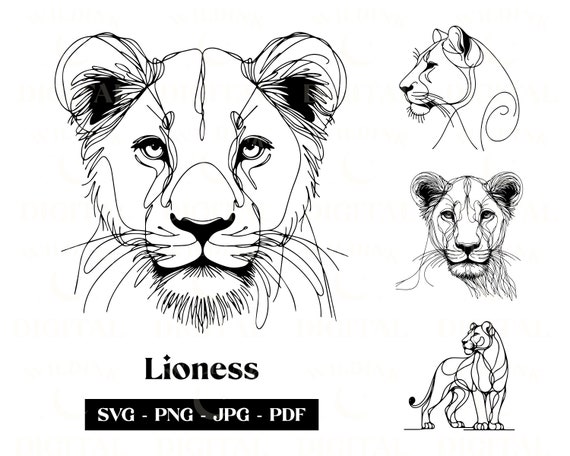 Lioness Head Line Drawing