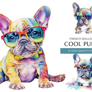 Coole französische Bulldogge Welpen Hund Clipart, 12 hochwertige PNGs, lustige und süße Baby Hunde mit Sonnenbrille, digitales Basteln, digitaler Download