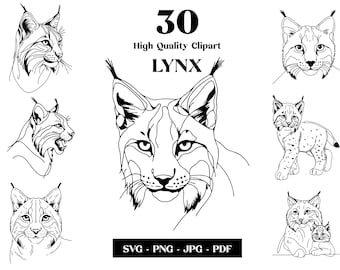 May include: A set of 30 high quality lynx clipart images in black and white. The images are in SVG, PNG, JPG, and PDF formats. The images feature lynx in various poses, including a lynx looking to the side, a lynx with its head held high, and a lynx with its mouth open.