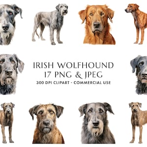 Watercolor Irish Wolfhound Clipart Bundle 17 High Quality PNG & JPEG, Gift for Dog Mom and Dad, Digital Crafting, Digital Download