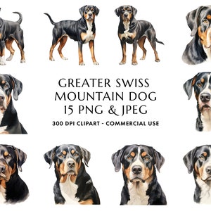 Lot de 15 cliparts aquarelle grand bouvier suisse PNG et JPEG haute qualité, cadeau pour chien maman et papa, téléchargement numérique
