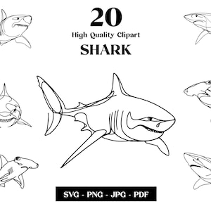 Clipart SVG squalo, grande squalo bianco linea minimalista, logo animale vettoriale, arte moderna, tatuaggio e design a sublimazione, ricamo