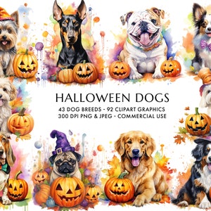 Halloween Dogs Clipart Bundle de 92 PNG et JPEG de haute qualité - 43 races de chiens - Aquarelle Halloween Pumpkin Artwork, Téléchargement numérique