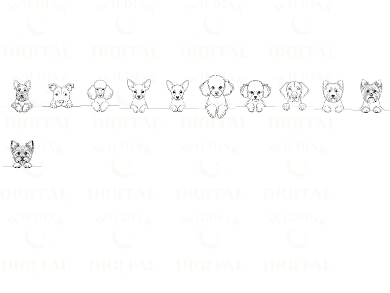 May include: Black and white line art illustration of ten different dog breeds peeking over a surface. The dogs are all facing forward and have their tongues sticking out.
