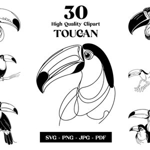 Toucan SVG Clipart: Minimalist Line Art, Tattoo Design (Digital Download)