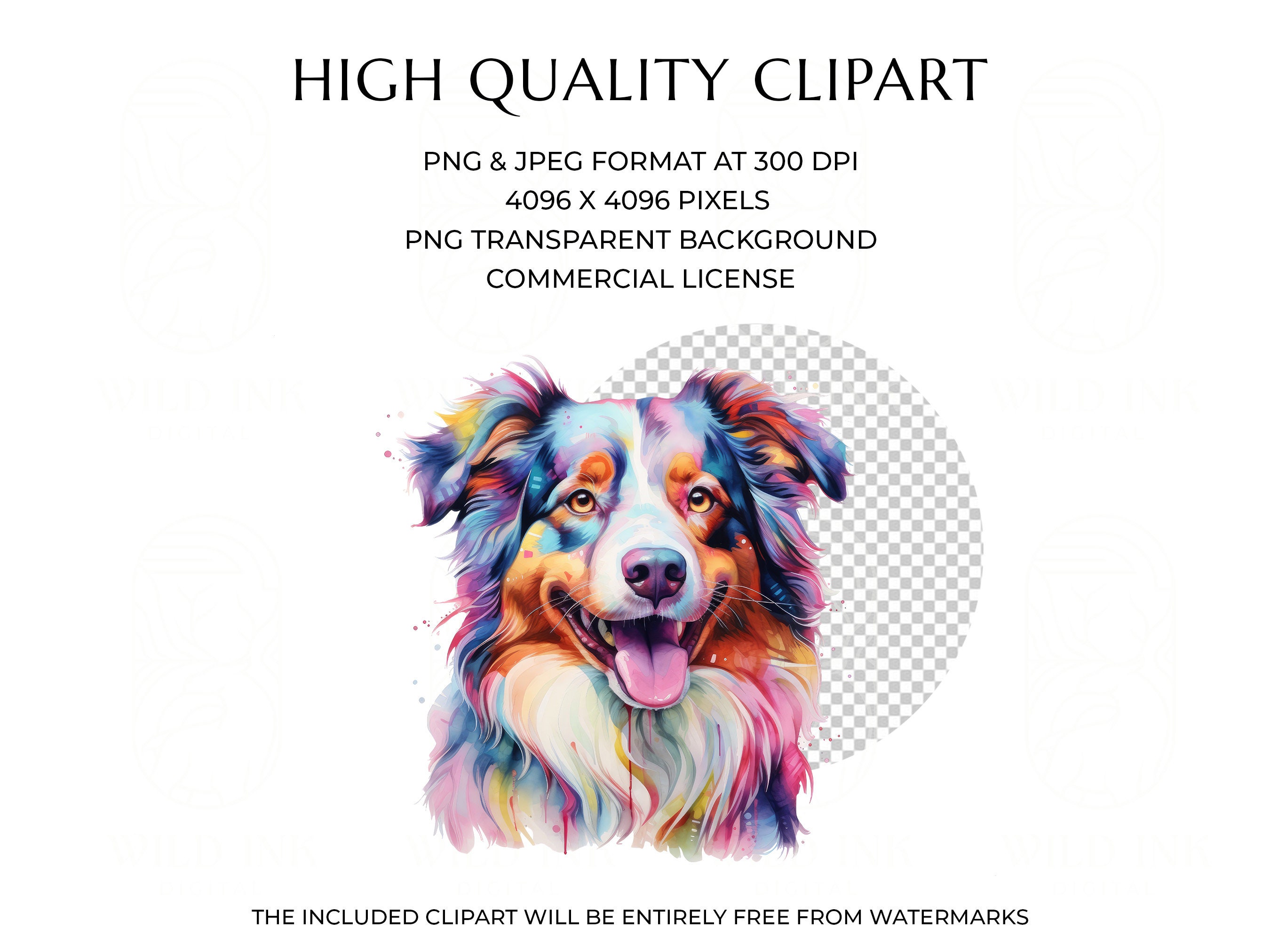 Watercolor Australian Shepherd Dog Clipart: Colorful Aussie Pngs ...