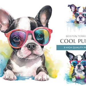 クールなボストン テリアの子犬のクリップアート、9 つの高品質 PNG、サングラスをかけた面白くてかわいい赤ちゃん犬、デジタル クラフト、デジタル ダウンロード