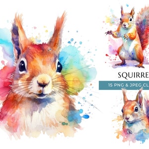 Squirrel Clipart - 15 PNG et JPEG de haute qualité - Aquarelle colorée Woodland Animal - Artisanat numérique - Téléchargement numérique instantané