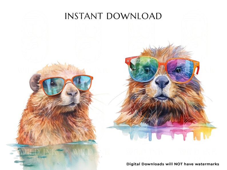 Watercolor Beaver Clipart With Sunglasses (digital Download) - Etsy
