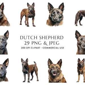Aquarell Dutch Shepherd Clipart Bundle 29 hochwertige PNG & JPEG, Geschenk für Hundemama und -papa, digitales Basteln, digitaler Download