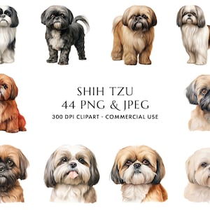 Aquarelle Shih Tzu Clipart Bundle 44 PNG & JPEG haute qualité, cadeau pour chien maman et papa, création numérique, téléchargement numérique