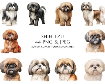 Puede incluir: Una colección de 44 ilustraciones digitales de perros Shih Tzu en varias poses. Las imágenes son de 300 DPI y aptas para uso comercial. El texto "SHIH TZU 44 PNG & JPEG 300 DPI CLIPART - COMMERCIAL USE" se muestra debajo de las imágenes.