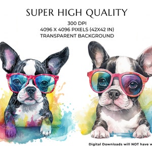 Watercolor Boston Terrier Puppy Clipart, Dog with Sunglasses (Digital Download) image 4