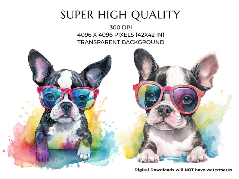 Watercolor Boston Terrier Puppy Clipart, Dog with Sunglasses (Digital Download) image 4