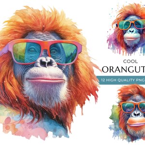 Watercolor Orangutan Clipart with Sunglasses, 12 High-Quality PNG & JPEG, Cool Monkey, Animal Print, Digital Crafting, Digital Download