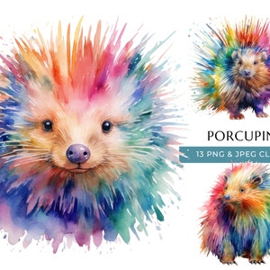 Porcupine Clipart - 13 High Quality PNGs & JPEG - Colorful Watercolor Woodland Animal Print - Digital Crafting - Instant Digital Download