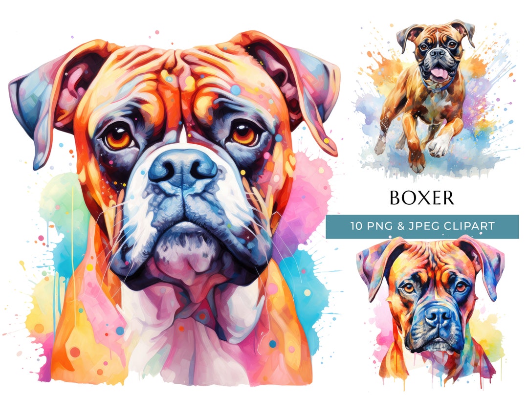 Boxer Dog Clipart - 10 High Quality Pngs & JPEG - Colorful Watercolor ...