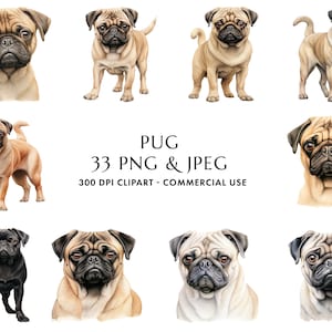 Aquarell Mops Clipart Bundle 33 Hochwertige PNG & JPEG, Geschenk für Hund Mama und Papa, digitales Basteln, digitaler Download