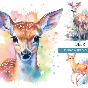 Hirsch Clipart - 15 hochwertige PNGs & JPEG - bunte Aquarell Waldtier - digitales Basteln - sofortiger digitaler Download