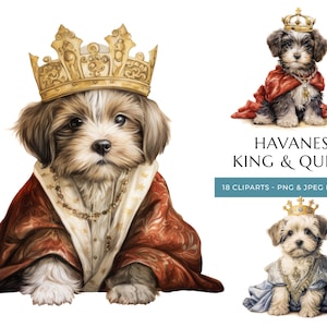 König & Königin Havaneser Welpe Aquarell Clipart - 18 hochwertige PNG und JPEG, königliche Hunde - sofortiger digitaler Download