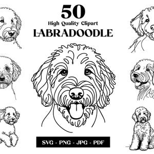 Labradoodle SVG & PNG-clipartbundel: digitale zeer fijne tekeningen, minimalistische vectorhondtekening voor sublimatie, hondenliefhebber, digitale download