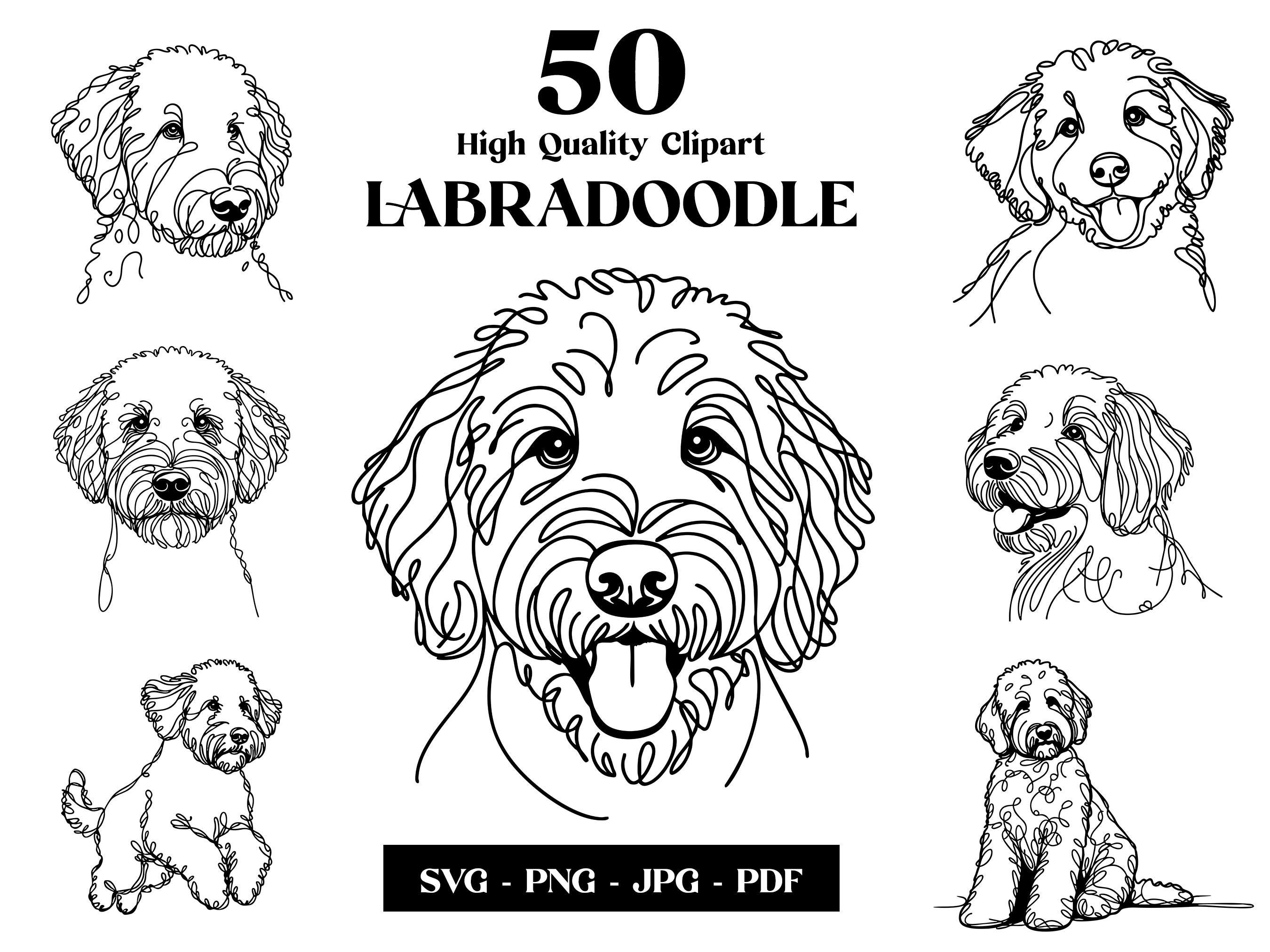 Labradoodle Line Art: SVG PNG Clipart Bundle (digital Download) - Etsy