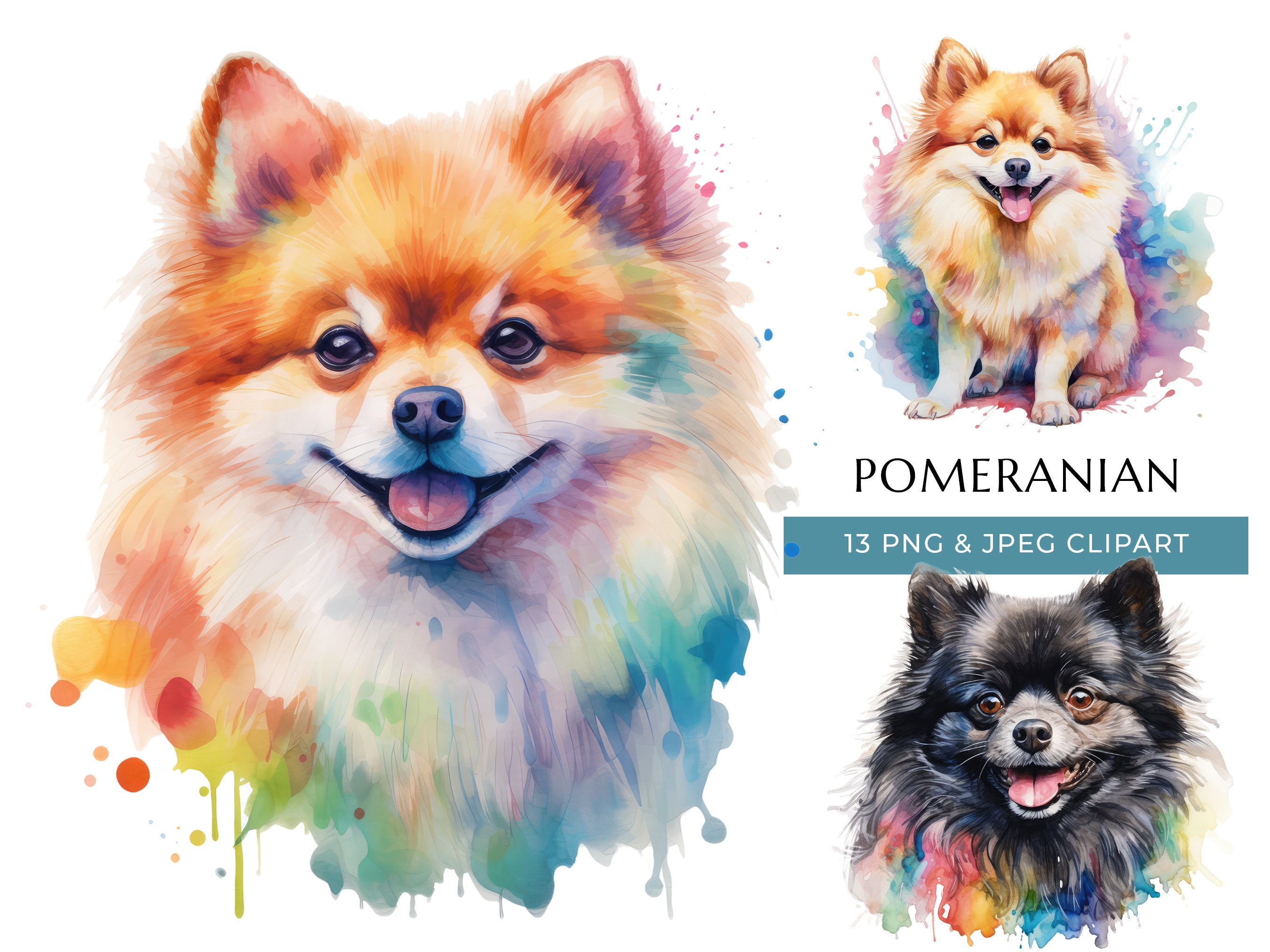 狼林（ROURIN）作　犬（ポメラニアン）の水彩画 2008年 狼林（ROURIN）作 犬（ポメラニアン）の水彩画 2008年 ポメラニアン