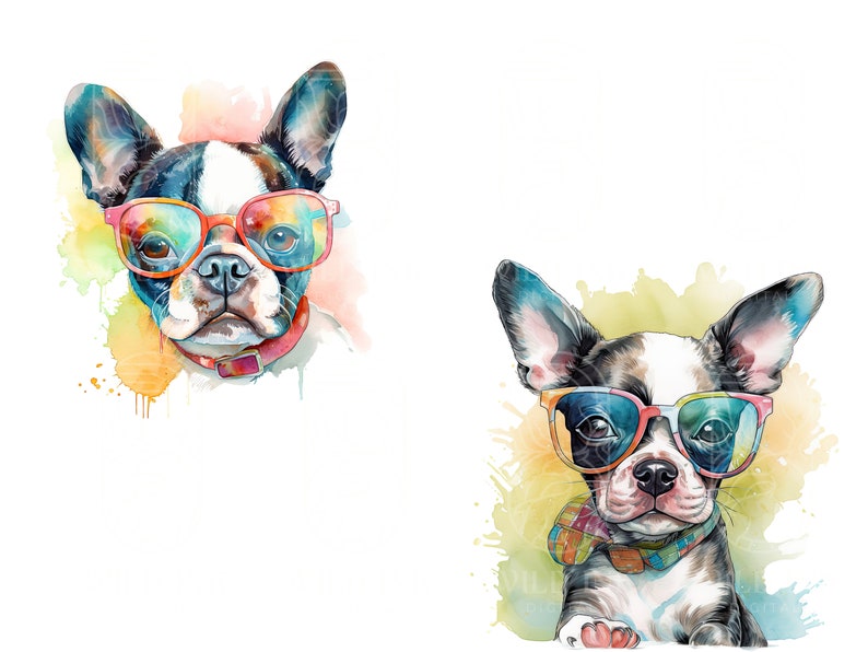 Watercolor Boston Terrier Puppy Clipart, Dog with Sunglasses (Digital Download) image 5
