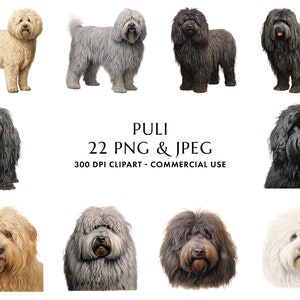 Aquarell Puli Clipart Bundle 22 hochwertige PNG & JPEG, Geschenk für Hundemama und -papa, digitales Basteln, digitaler Download