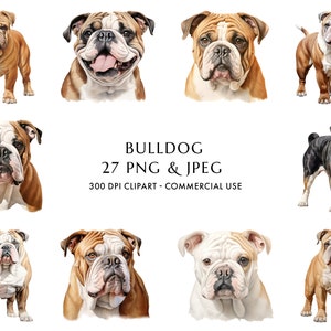 Watercolor Bulldog Clipart Bundle 27 High Quality PNG & JPEG, Gift for Dog Mom and Dad, Digital Crafting, Digital Download