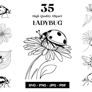 Ladybug SVG Clipart, Lady Beetle Minimalist Line Art, Logo Animal Vector, Arte Moderno, Diseño de Tatuaje y Sublimación, Descarga Digital