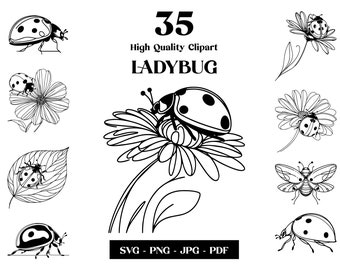 May include: A set of 35 high quality ladybug clip art images in black and white. The images feature ladybugs in various poses, including flying, crawling, and perched on flowers. The text "LADYBUG" is featured in bold letters.
