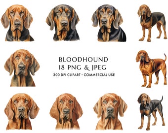 Watercolor Bloodhound Clipart Bundle, Dog Mom Gift (Digital Download)