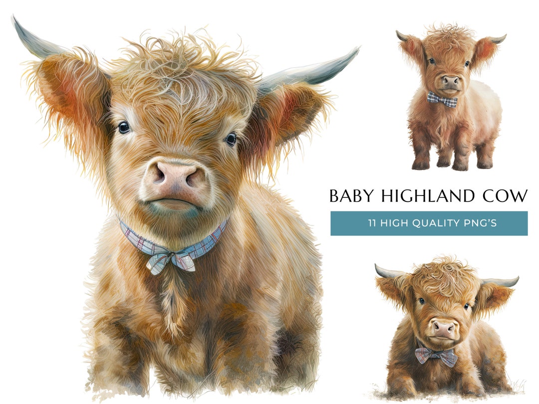 Baby Highland Cow With Bow Tie Watercolor Clipart of 11 Pngs, Farm ...