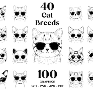 May include: A black and white illustration of 40 different cat breeds wearing sunglasses. The text "40 Cat Breeds" is at the top of the image. The text "100 Graphics SVG - PNG - JPG - PDF" is at the bottom of the image.