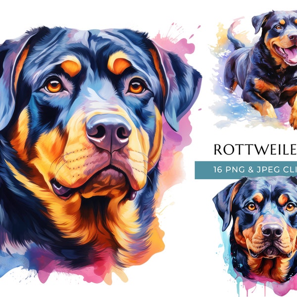 Rottweiler Dog Clipart - 16 High Quality PNGs & JPEG - Colorful Watercolor Dog - Digital Crafting - Instant Digital Download