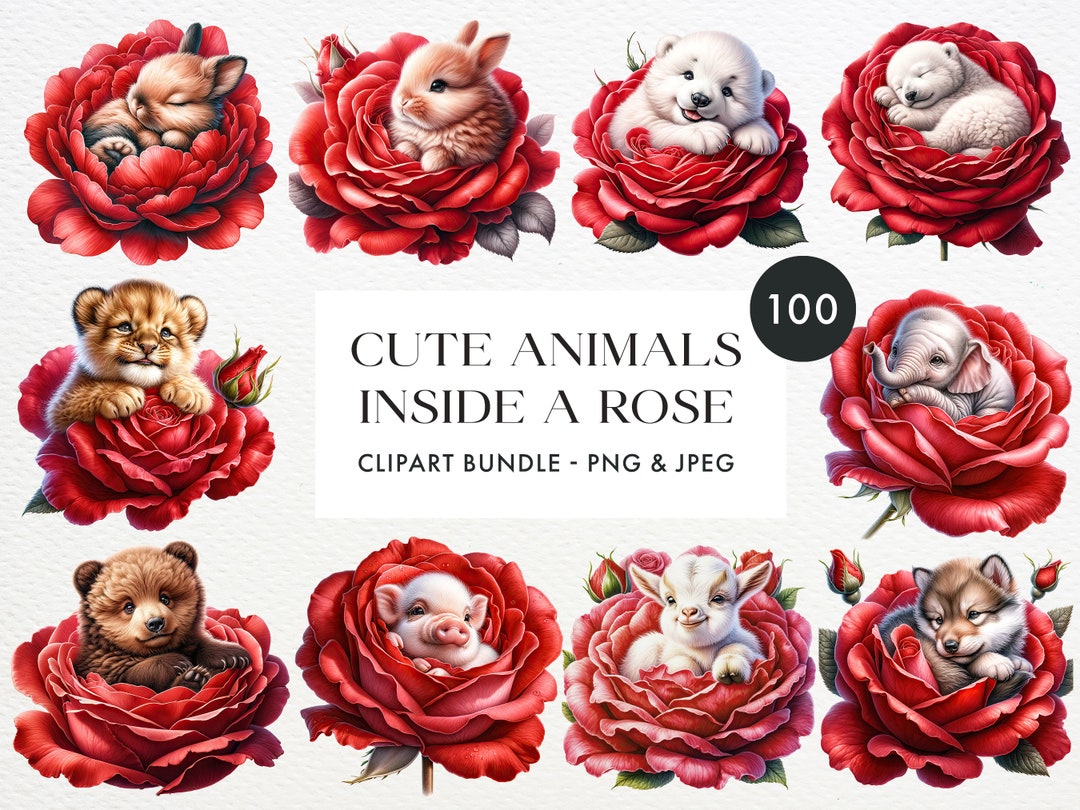 Baby Animals in Roses Clipart – 100 PNG & JPEG Images (digital Download ...