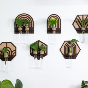 10 plantenvermeerdering muurkunst SVG, geometrische planthouder lasergesneden bestanden, Glowforge, xTool, beginnersvriendelijk, digitale download