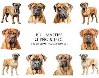 Akvarell Bullmastiff Clipart-paket, hundmamma-present (digital nedladdning)